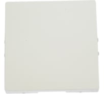 Заглушка Systeme Electric (Schneider Electric) AtlasDesign жемчуг SE ATN000409 5 шт 13606481717846