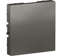 Заглушка Systeme Electric (Schneider Electric) AtlasDesign Сталь SE ATN000909 5 шт 13606481717945