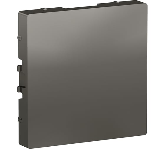 Заглушка Systeme Electric (Schneider Electric) AtlasDesign Сталь SE ATN000909 5 шт 13606481717945 1