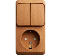 Блок Systeme Electric (Schneider Electric) Этюд наружный Бук розетка с/з со шторками + выключатель SE BPA16-202T 10 шт 13606480981415