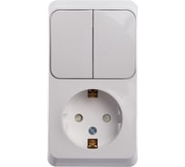 Блок Systeme Electric (Schneider Electric) Этюд наружный розетка с/з со шторками+выключатель 2-клавишный SE BPA16-202B 10 шт 13606480981293