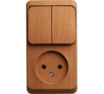 Блок Systeme Electric (Schneider Electric) Этюд наружный Бук розетка б/з + выключатель 2-клавишный SE BPA16-205T 12 шт 13606480981446
