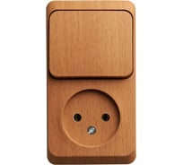 Блок Systeme Electric (Schneider Electric) Этюд наружный Бук розетка б/з + выключатель 1-клавишный SE BPA16-204T 12 шт 13606480981422