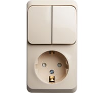 Блок Systeme Electric (Schneider Electric) Этюд наружный Крем розетка с/з со шторками + выключатель SE BPA16-202K 10 шт 13606480981354