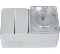 Блок Systeme Electric Atlasdesign profi ip54 о/у розетка з/к со шторками 16а, выключатель 2-клавишный10а, серый ATN543074 6 шт 4690201026860