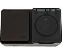 Блок Systeme Electric ATLASDESIGN PROFI IP54 О/У розетка с заземлением со шторками, 16А, выключатель 1-клавишный, 10АХ, коричневый ATN546070 6 шт 4690201042617