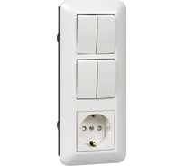 Блок Systeme Electric BLANCA С/У розетка с заземлением+ выключатель 2-клавишный+ выключатель 2-клавишный, белый, розн.уп.Рос BK2VR-008B-BI 5 шт 13606485439492