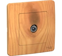 Коннектор TV Systeme Electric (Schneider Electric) BLANCA С/У, ясень BLNTS000015 10 шт 13606481195910