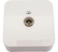 Коннектор TV Systeme Electric (Schneider Electric) BLANCA О/У белый BLNTA000011 18 шт 13606481196221