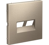 Двойная накладка Systeme Electric ARTGALLERY для информационных функций типа Keystone, ШАМПАНЬ GAL000590 5 шт 4690201045205