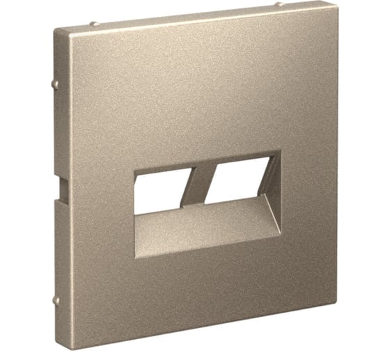 Двойная накладка Systeme Electric ARTGALLERY для информационных функций типа Keystone, ШАМПАНЬ GAL000590 5 шт 4690201045205 1