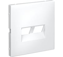 Двойная накладка Systeme Electric ARTGALLERY для информационных функций типа Keystone, БЕЛЫЙ GAL000190 5 шт 4690201045168