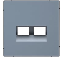 Двойная накладка Systeme Electric ARTGALLERY для информационных функций типа Keystone, ГРИФЕЛЬ GAL000790 5 шт 4690201045250