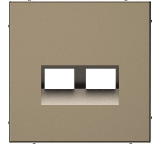Двойная накладка Systeme Electric ARTGALLERY для информационных функций типа Keystone, МОККО GAL000690 5 шт 4690201045229 1