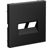 Двойная накладка Systeme Electric ARTGALLERY для информационных функций типа Keystone, КАРБОН GAL001090 5 шт 4690201045304