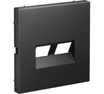 Двойная накладка Systeme Electric ARTGALLERY для информационных функций типа Keystone, БАЗАЛЬТ GAL001490 5 шт 4690201045380