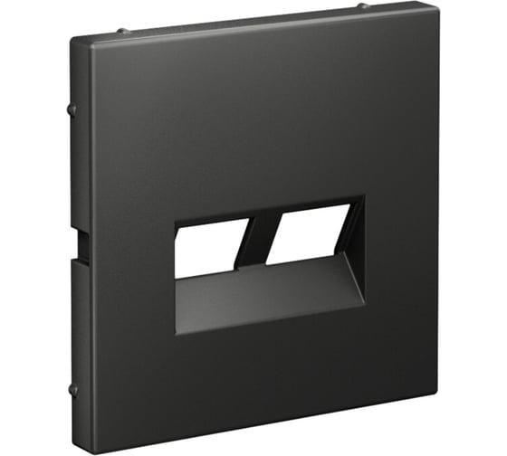 Двойная накладка Systeme Electric ARTGALLERY для информационных функций типа Keystone, БАЗАЛЬТ GAL001490 5 шт 4690201045380 1