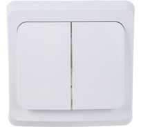 Выключатель 2-клавишный Systeme Electric (Schneider Electric) СП Этюд 10А IP20 бел. BC10-002B 20 шт 4607098940049
