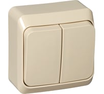 Выключатель 2-клавишный Systeme Electric (Schneider Electric) ОП Этюд 10А IP20 крем. BA10-002K 25 шт 4607098941244