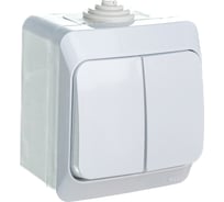 Выключатель 2-клавишный Systeme Electric (Schneider Electric) ОП Этюд 10А IP44 бел. SchE BA10-042B 14 шт 4607098942449