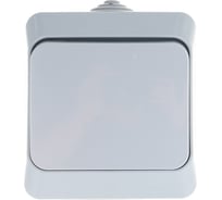 Выключатель 1-клавишный Systeme Electric (Schneider Electric) ОП Этюд 10А IP44 сер. SchE BA10-041C 14 шт 4607098942500