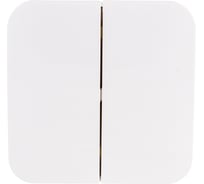 2-клавишный выключатель Systeme Electric (Schneider Electric) BLANCA о/у, 6А, 250B, молочный BLNVA065012 15 шт 13606481196252