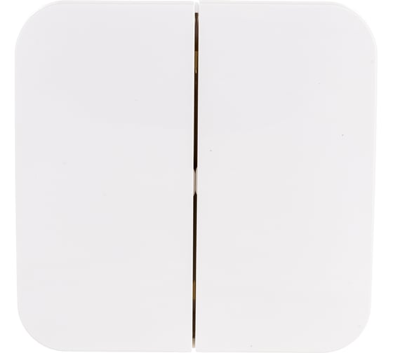 2-клавишный выключатель Systeme Electric (Schneider Electric) BLANCA о/у, 6А, 250B, молочный BLNVA065012 15 шт 13606481196252 1