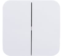 2-клавишный выключатель Systeme Electric (Schneider Electric) BLANCA о/у, 6А, 250B, белый BLNVA065011 15 шт 13606481195958