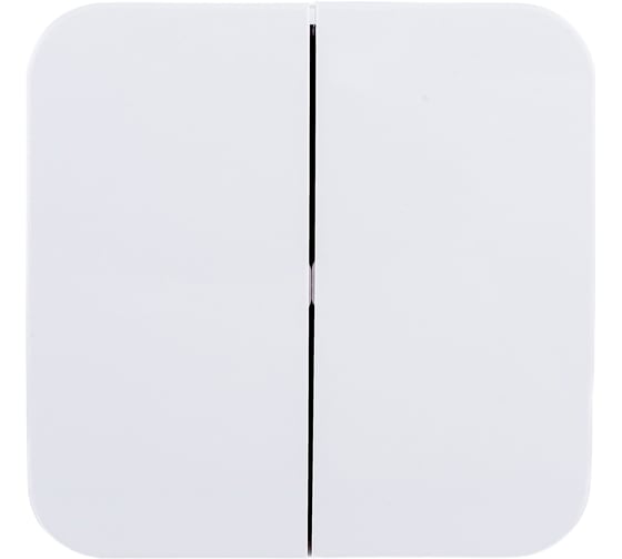 2-клавишный выключатель Systeme Electric (Schneider Electric) BLANCA о/у, 6А, 250B, белый BLNVA065011 15 шт 13606481195958 1