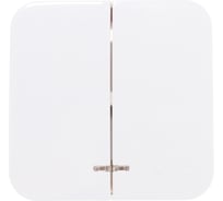 2-клавишный выключатель Systeme Electric (Schneider Electric) BLANCA о/у, 10А, 250B, молочный BLNVA105102 15 шт 13606481197556