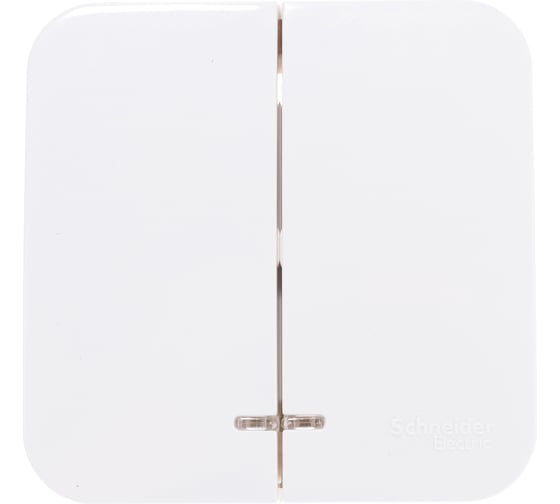 2-клавишный выключатель Systeme Electric (Schneider Electric) BLANCA о/у, 10А, 250B, молочный BLNVA105102 15 шт 13606481197556 1
