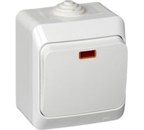 Выключатель 1-клавишный с подсветкой Systeme Electric (Schneider Electric) Lexel Этюд Белый, IP44, наружный BA10-045B 14 шт 4607098942463
