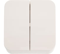 2-клавишный выключатель Systeme Electric (Schneider Electric) BLANCA о/у, 10А, 250B, молочный BLNVA105012 15 шт 13606481196290