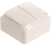 Выключатель 2-клавишный Systeme Electric (Schneider Electric) ОП Этюд 10А IP20 с индик. крем. BA10-006K 25 шт 4607098941329
