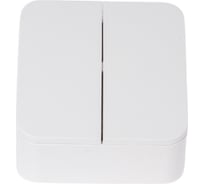 2-клавишный выключатель Systeme Electric (Schneider Electric) BLANCA о/у, 10А, 250B, белый BLNVA105001 15 шт 13606481197372