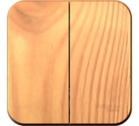 2-клавишный выключатель Systeme Electric (Schneider Electric) BLANCA о/у, 10А, 250B, ясень BLNVA105015 15 шт 13606481196559