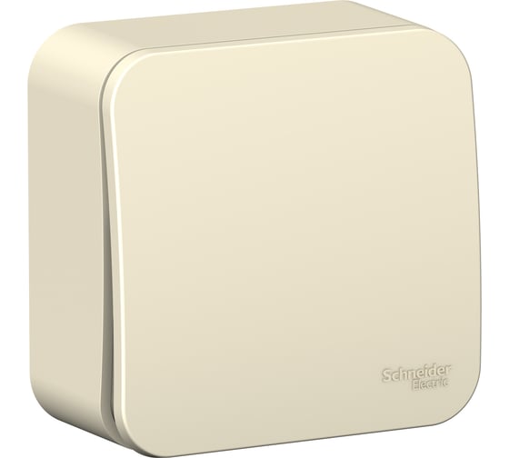 1-клавишный выключатель Systeme Electric (Schneider Electric) BLANCA о/у, cх.1, 10А, 250B, молочный BLNVA101002 15 шт 13606481197525 1