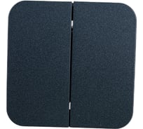 2-клавишный выключатель Systeme Electric (Schneider Electric) BLANCA о/у, 10А, 250B, антрацит BLNVA105006 15 шт 13606481197907