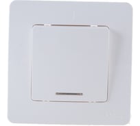 1-клавишный выключатель с подсветкой Systeme Electric (Schneider Electric) BLANCA с/у, 10А, 250B, молочный BLNVS010112 10 шт 13606481194784