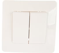 2-клавишный выключатель Systeme Electric (Schneider Electric) BLANCA с/у, 10А, 250B, молочный BLNVS010502 10 шт 13606481194791