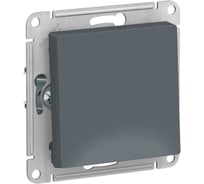 1-клавишный выключатель Systeme Electric (Schneider Electric) ATLASDESIGN сх.1, 10АХ, грифель ATN000711 10 шт 13606489702318