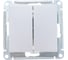 2-клавишный выключатель Systeme Electric (Schneider Electric) ATLASDESIGN сх.5, 10АХ, алюминий ATN000351 10 шт 13606489584044 1