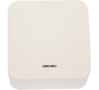 1-клавишный выключатель с подсветкой Systeme Electric (Schneider Electric) BLANCA о/у, 10А, 250B, молочный BLNVA101102 15 шт 13606481197532