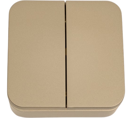 2-клавишный выключатель Systeme Electric (Schneider Electric) BLANCA о/у, 10А, 250B, титан BLNVA105014 15 шт 13606481332599 1