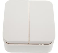 Выключатель Systeme Electric ( Schneider Electric) BLANCA О/У 2-клавишный 10А 250B молочный BLNVA105002 15 шт 13606481197549