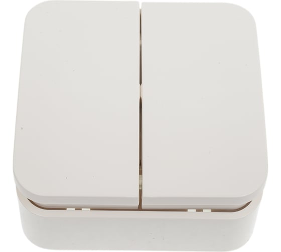 2-клавишный выключатель Systeme Electric (Schneider Electric) BLANCA о/у, 10А, 250B, молочный BLNVA105002 15 шт 13606481197549 1