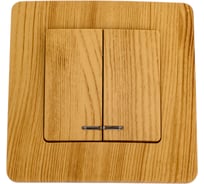 2-клавишный выключатель с подсветкой Electric ( Schneider Electric) BLANCA с/у, 10А, 250B, ясень BLNVS010515 10 шт 13606481195743