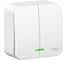 2-клавишный выключатель с подсветкой Systeme Electric (Schneider Electric) BLANCA о/у, 6А,250B,белый BLNVA065111 15 шт 13606481195965 1