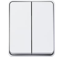 2-клавишный выключатель Systeme Electric (Schneider Electric) AtlasDesign PROFI IP54 о/у 2-клавишный выключатель 10 АХ, белый ATN540151 12 шт 13606481094718