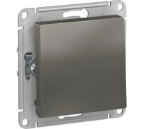 Выключатель 1-клавишный Systeme Electric (Schneider Electric) AtlasDesign Сталь, сх.1, 10АХ, механизм SE ATN000911 5 шт 13606489702950